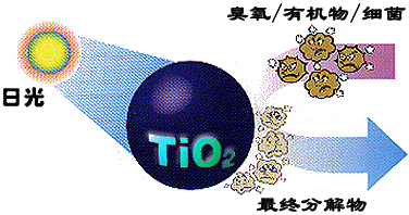 &#27867;&#20122;&#30005;&#31454;&#40;&#20013;&#22269;&#41;&#23448;&#26041;&#32593;&#31449;