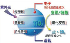 &#27867;&#20122;&#30005;&#31454;&#40;&#20013;&#22269;&#41;&#23448;&#26041;&#32593;&#31449;